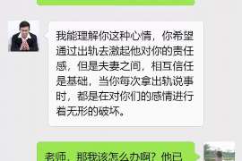 山西婚姻调查：无效或者被撤销的婚姻的法律后果